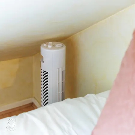 Apartment Adele Duplex Lumineux Dans Le Quartier De France