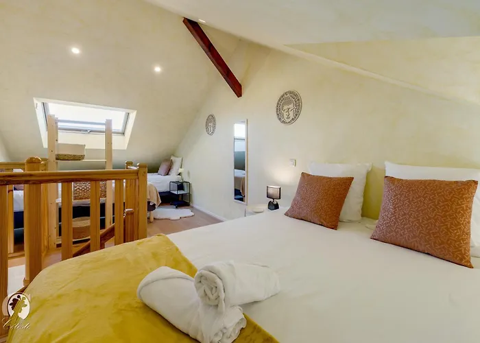 Апартаменты Adele Duplex Lumineux Dans Le Quartier De France Виши