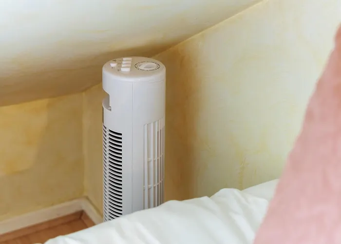 Apartment Adele Duplex Lumineux Dans Le Quartier De France