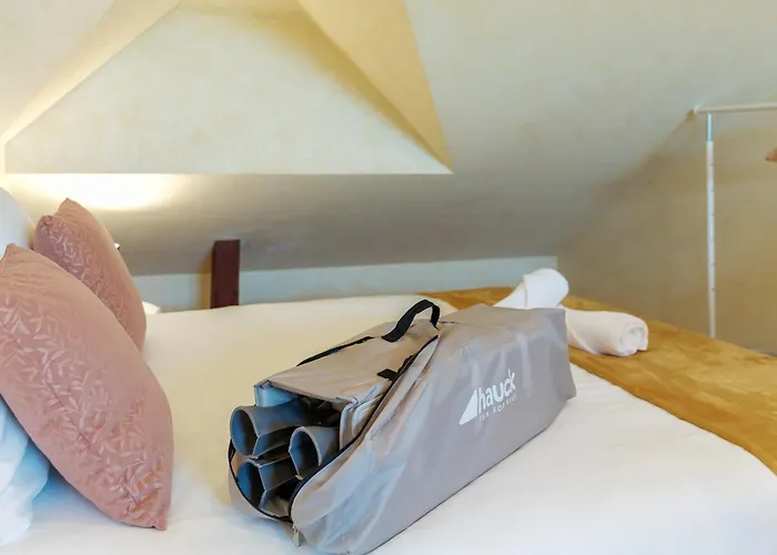 Adele Duplex Lumineux Dans Le Quartier De France