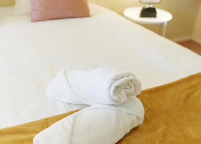 Adele Duplex Lumineux Dans Le Quartier De France 维琪