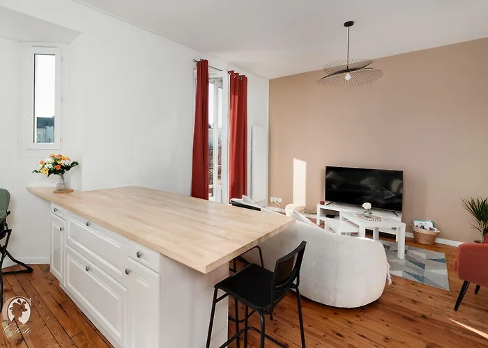 Adele Duplex Lumineux Dans Le Quartier De France * Vichy