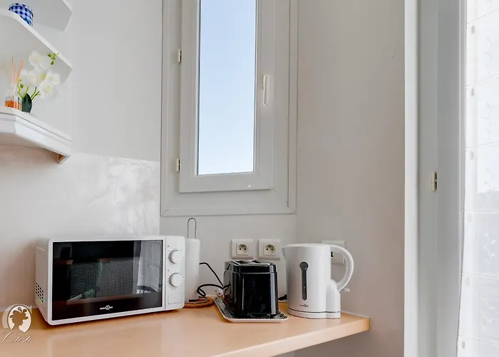 Adele Duplex Lumineux Dans Le Quartier De France